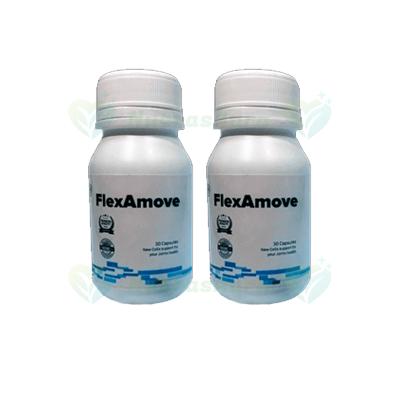 Joint support supplement